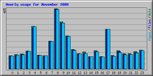 Hourly usage for November 2008