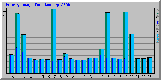 Hourly usage for January 2009